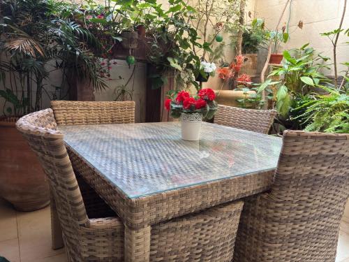 편의 시설/서비스, Cozy and comfortable room for female guests only in 벨 아루시