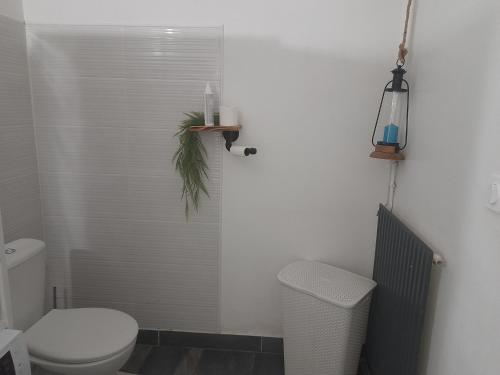 Oasis 3