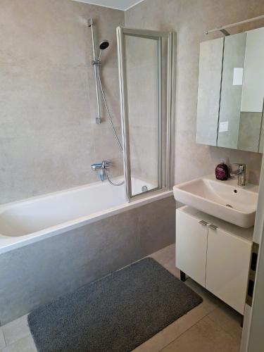 Zuhanyzó, Wohnung Marie- Therese in Freigericht (Hessen)