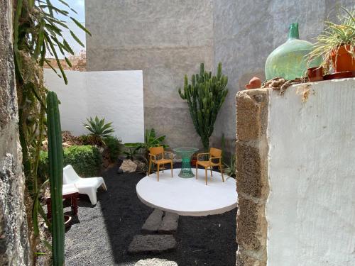 Patio del Charco Jardín