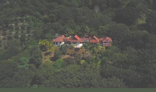 Retreat Yourself RevelaRetreats Costa Rica - image 5