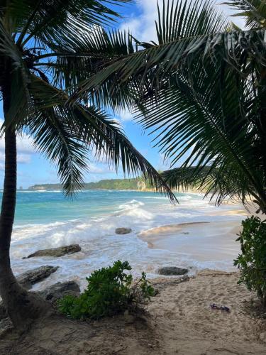 2 Bedroom Modern House Near Playa Grande in Rio San Juan City  Center