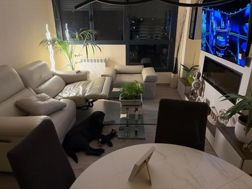 Apartamento Sergio deluxe