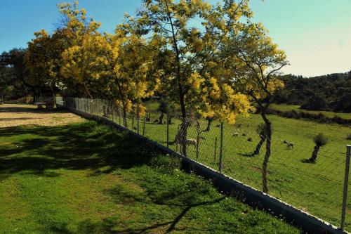 Monte da Fonte Santa de São Luís