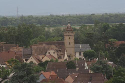 Gite duplex du vignoble Alsace
