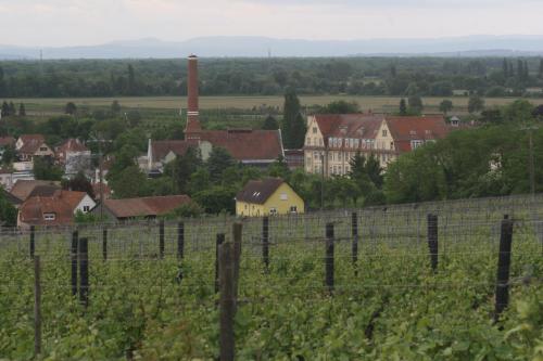 Gite duplex du vignoble Alsace