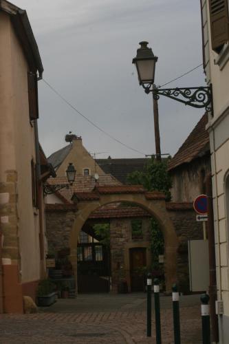 Gite duplex du vignoble Alsace