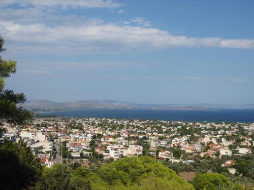 Villa Verde Apart-Hotel - image 3