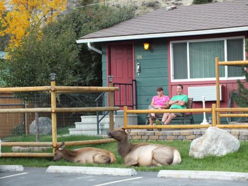 Yellowstone Gateway Inn Gardiner