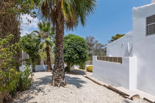 Casa Trece - image 4