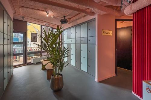 Stayokay Hostel Rotterdam - fully renovated April 2026 in Rotterdam