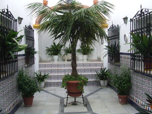 Apartamentos Los Arcos Apartamentos Los Arcos