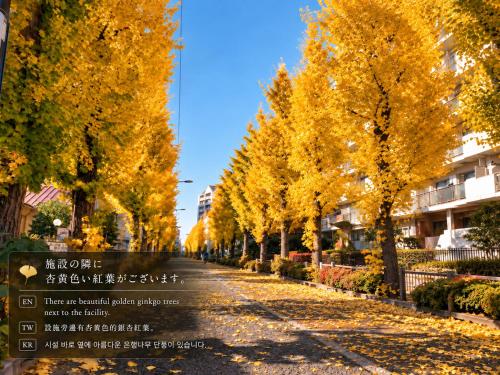 周辺観光スポット