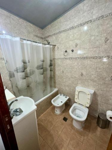 Los gladiolos - image 5