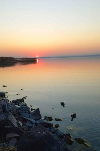 Apartments in Siofok - Balaton 53496 - image 5