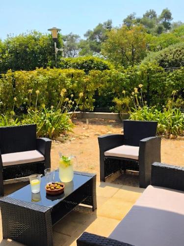 Le Grand Jardin d'Azur - Antibes - 130 m2 jardin, piscine, parking - 6-8 personnes