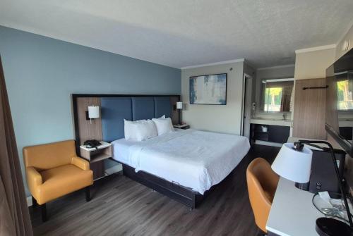 1 king bed