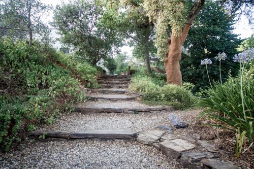 Charming Apartment in the Heart of the Forest in Santa Luzia