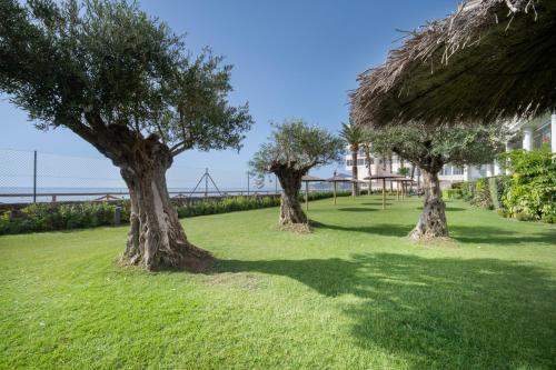 Costabella Altea - image 3