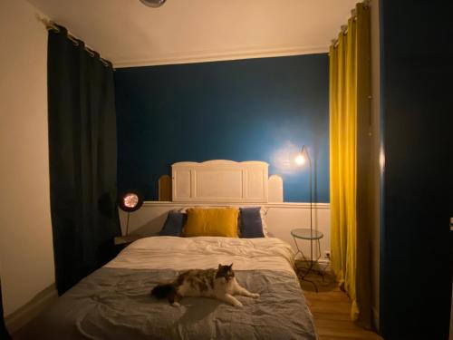 Chambre chez l'habitant 16 m2 Centre de Rennes