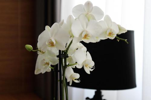 萨那酒店 萨那酒店