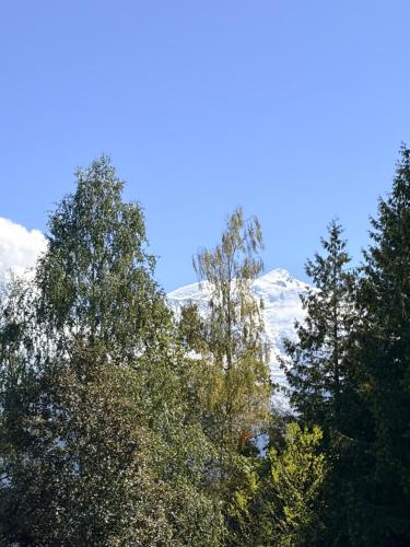 L'Oasis de Combloux - Duplex Premium pour 6 personnes avec vue MontBlanc - Grande terrasse de 20m2 - Parking - Casier à ski