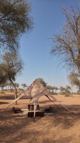 Sky desert in Wadi Khadeja