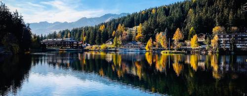Super OFFRE à Viva Crans Montana