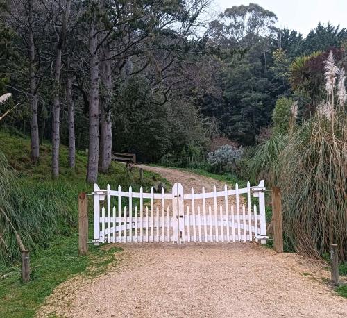 Tinui Food Forest Cottage in Whakataki