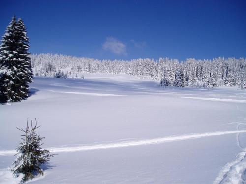 Chalet-Hôtel du Borderan