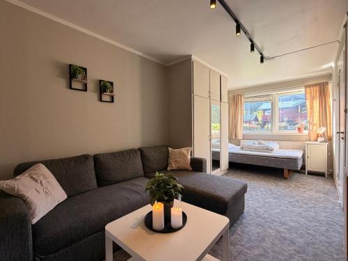Newly renovated studio apartment in the center of Gol, bed linen & towels included in Gol
