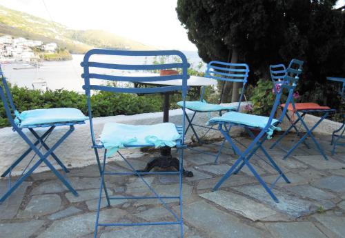 Blue Dolphin - image 7