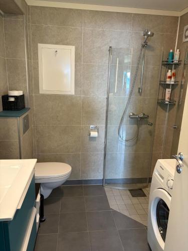One-bedroom apartment in Straumsbukta