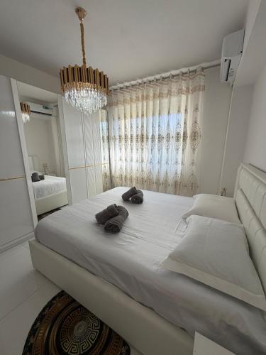 Stylish 1-bed in Central Shkoder Sleeps 4 - image 5