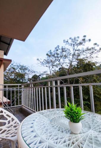Glimmer Inn Goa - image 5