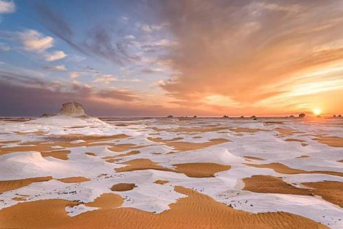 White desert camp in Farafra