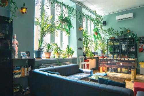 The Little Havana Party Hostel in كراكوف