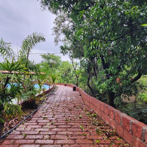 منظر, Shantubaug Agro Tourism in Moleshwar