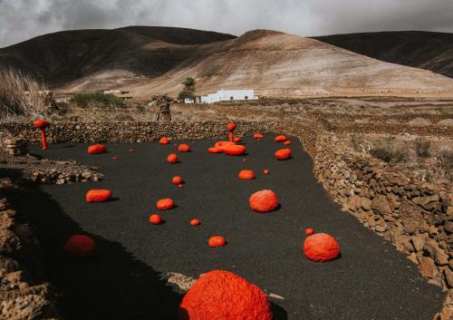 VULKANO Villas - A Unique Way To Live Lanzarote 2