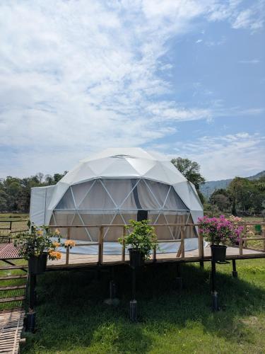 Tushita Ban - Kaziranga in Jakhalabandha