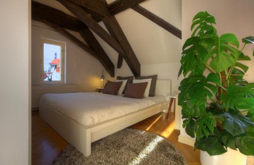 Apartment with Terrace image 6