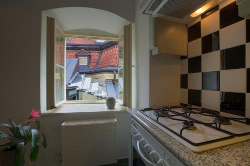 Apartment with Terrace image 5