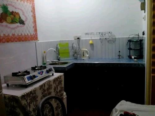 Sanjana Villa - image 3
