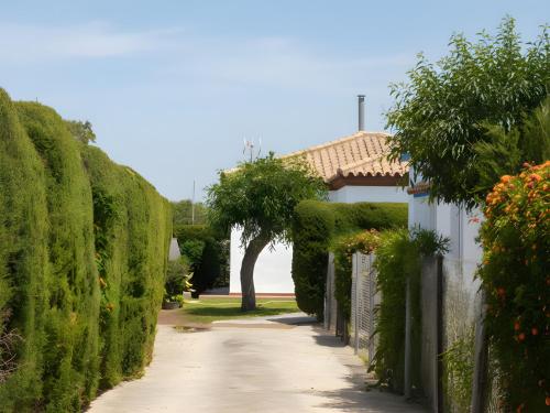 Casa con piscina privada en el palmar jardin parking privado cerca de la playa - image 2