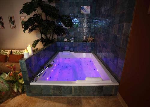 Suite Nusa - Love Room Jacuzzi - 30 min Paris Gare de Lyon - Location saisonnière - Champigny-sur-Marne