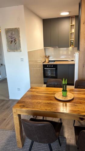 Apartman u srcu Banja Koviljaca 2