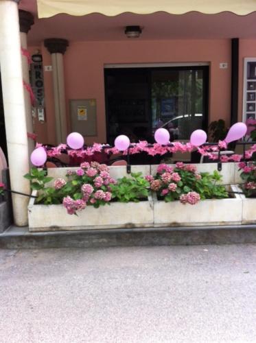 Hotel Rosy