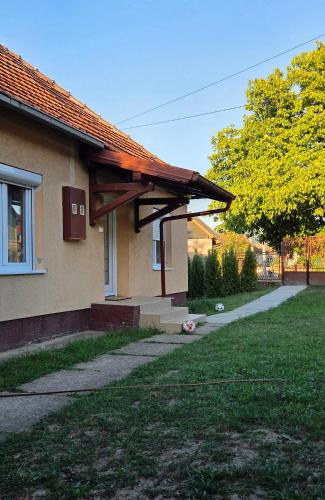 Aed, Rzavski mir in Arilje
