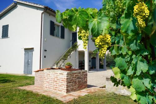 Netik Apartment Cortona - Tuscan Vineyard escape