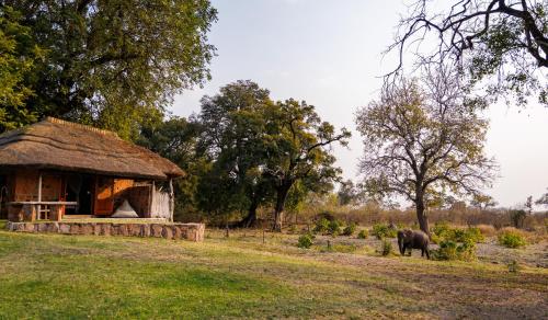 ทัศนียภาพภายนอกโรงแรม, Hideaways Bumbusi Wilderness Camp, Hwange in ฮวางเก